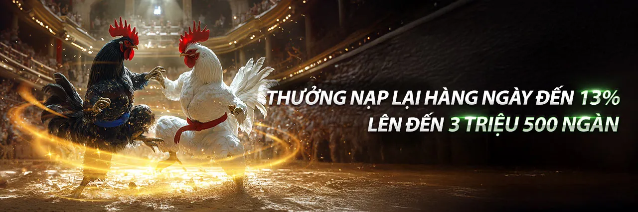 Đá gà trực tuyến kịch tính tại May88family